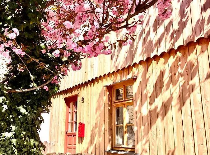 Gemuetliche Oekologische Ferienwohnung Og Innenstadt Διαμέρισμα *