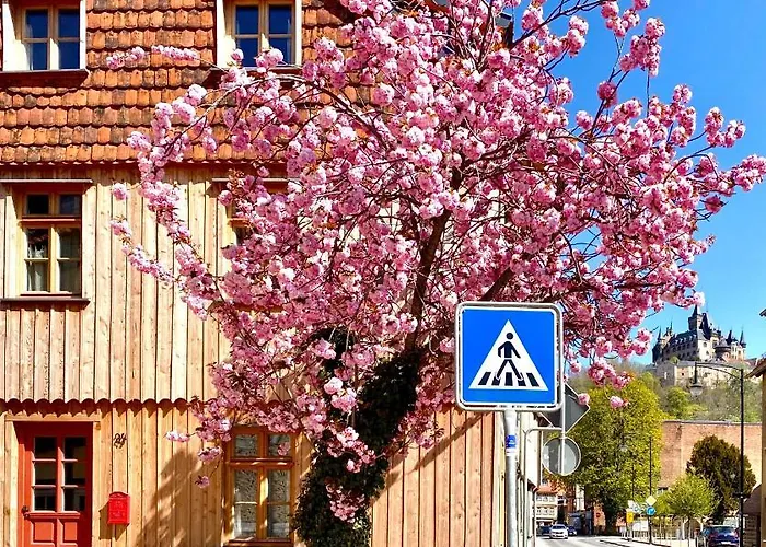 Gemuetliche Oekologische Ferienwohnung Og Innenstadt Wernigerode